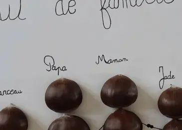 ‘Chestnut Families’