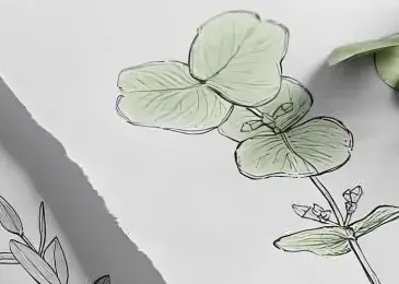 Herbier du botaniste en herbe