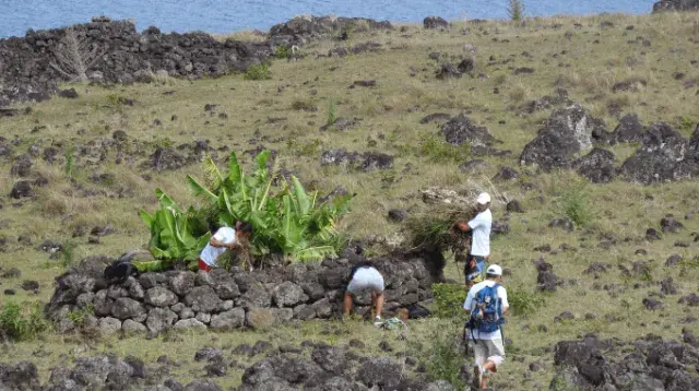 Easter island