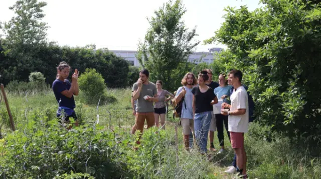 Coupe de France du potager