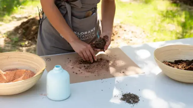 DIY bombe à graines