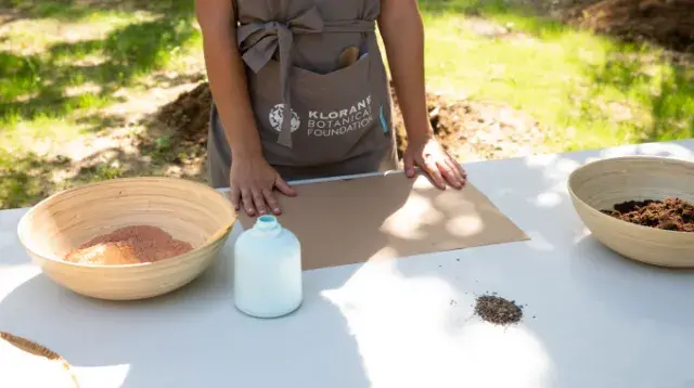 DIY bombe à graines