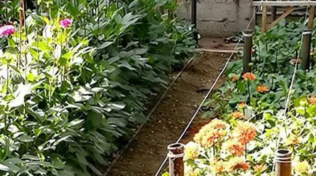 Recovering degraded soil
