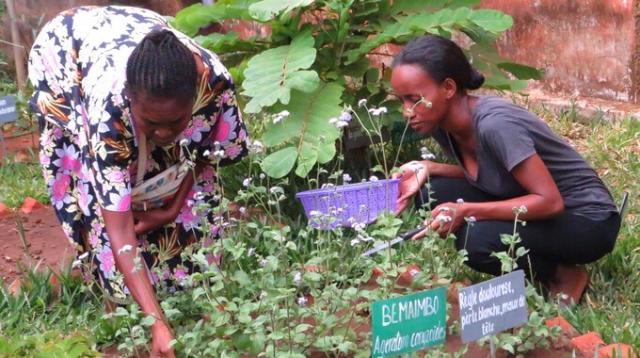 DES JARDINS POUR L’AUTONOMIE ET LA BIODIVERSITÉ