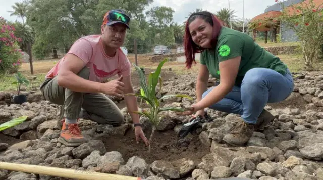 2 personnes plantent