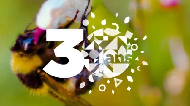 abeille et logo 30 ans