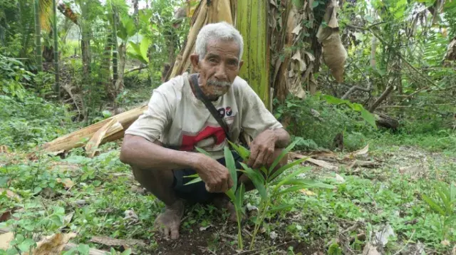 Protéger la biodiversité de l'Île de Florès