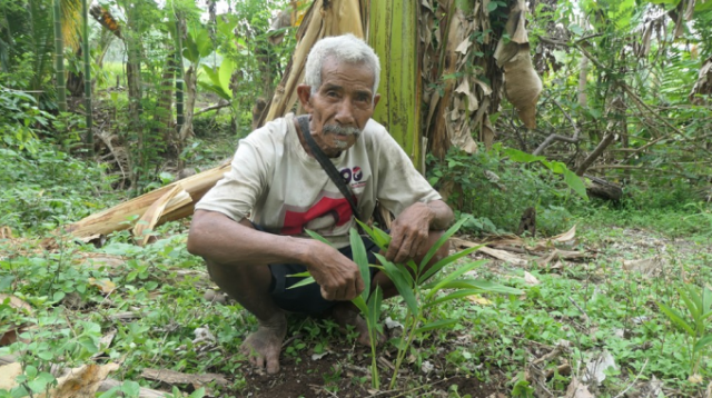 Protecting biodiversity on the island of Florès