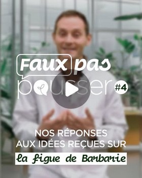 Instagram - Faux pas pousser #4