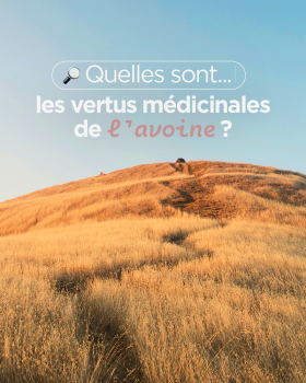 Vertus de l'avoine