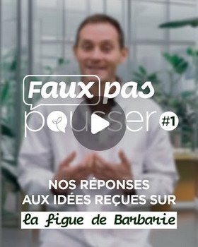 Faux pas pousser #1