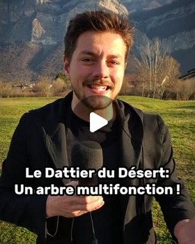 Micke le dattier du désert